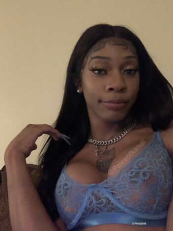 TheDreamDoll