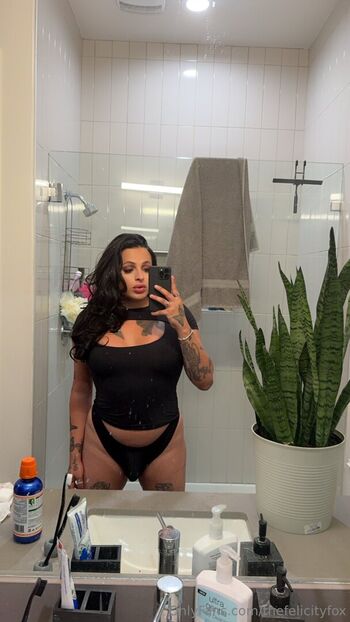 thefelicityfox