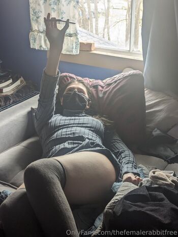 thefemalerabbitfree