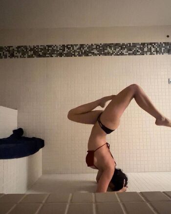 Thefitkitty
