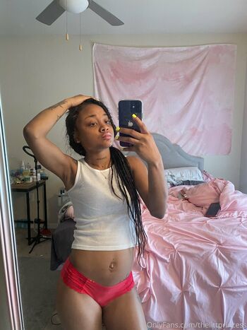 thelittprincess