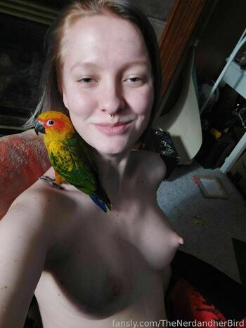 TheNerdandherBird