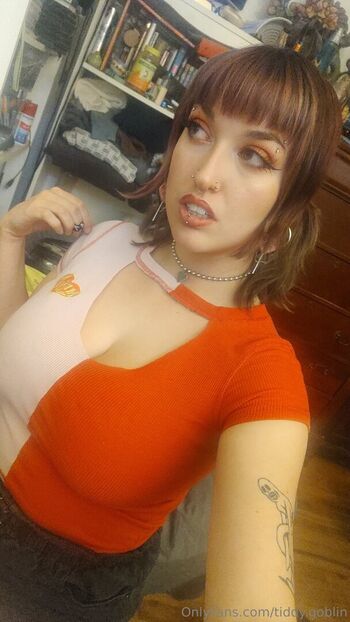 tiddy.goblin