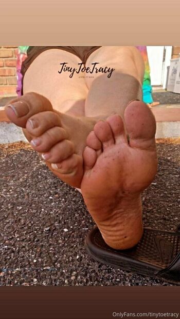 tinytoetracy