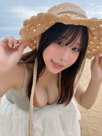 Towa Rabbit