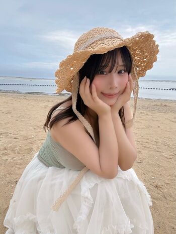 Towa Rabbit