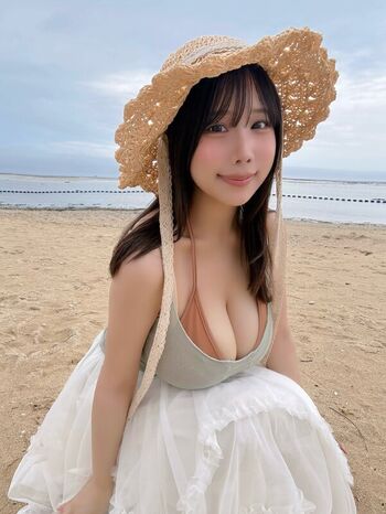 Towa Rabbit