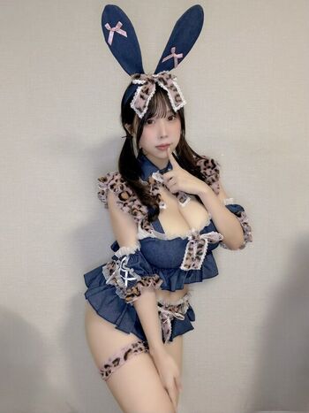 Towa Rabbit