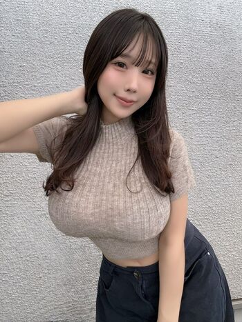 Towa Rabbit