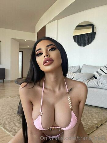 trans_nyla