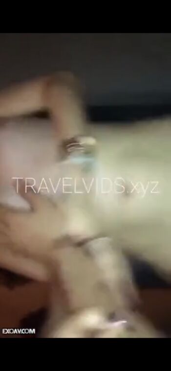 Travelvids.xyz