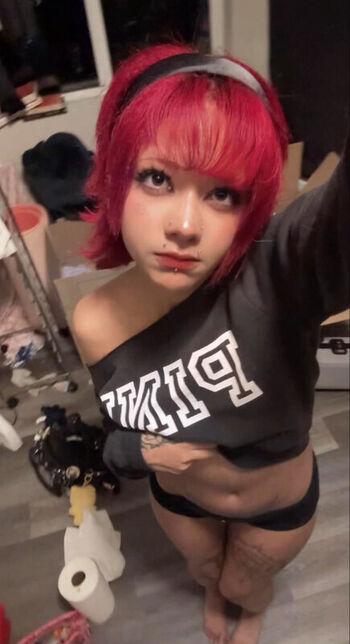 Vanta_vin