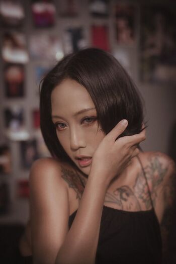 vice_1229