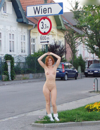 Vienna Love