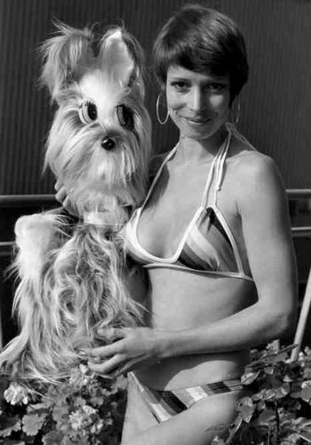 Vintage English Pinups