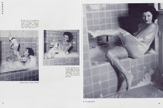Vintage English Pinups