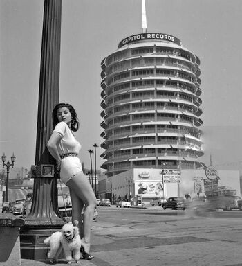 Vintage English Pinups