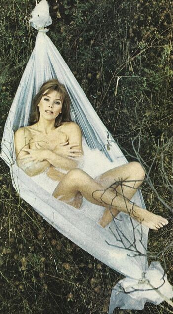 Vintage Starlets