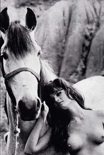 Vintage Starlets