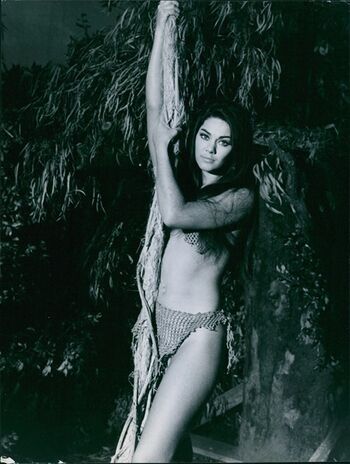 Vintage Starlets