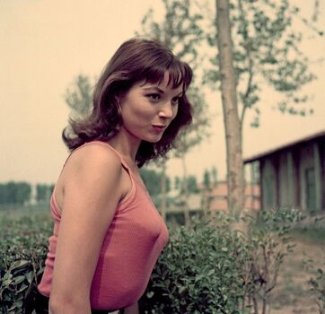 Vintage Starlets