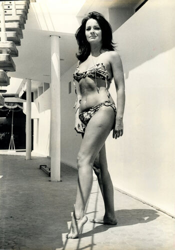 Vintage Starlets
