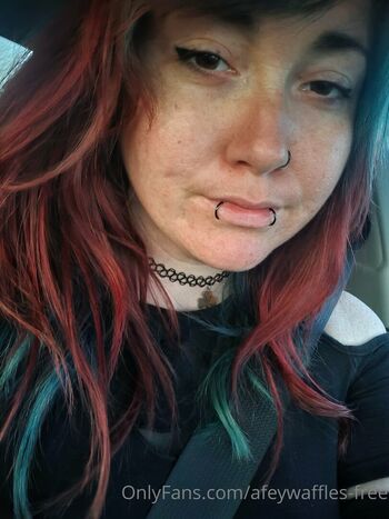 vixen.kitten-free