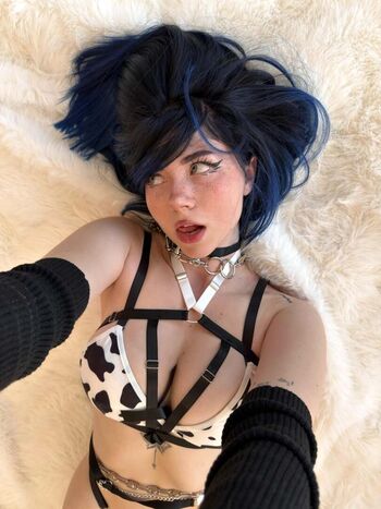 Vixenp