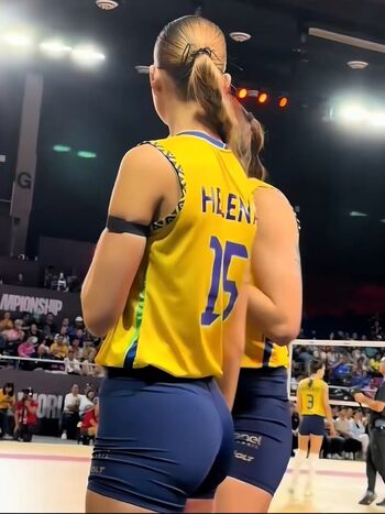 Volei Brasil