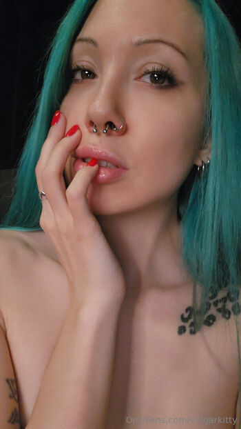 vulgarkitty