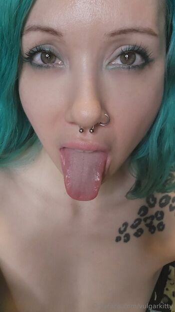 vulgarkitty