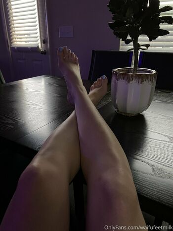 WaifuFeetMilk