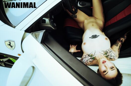 Wanimal Models