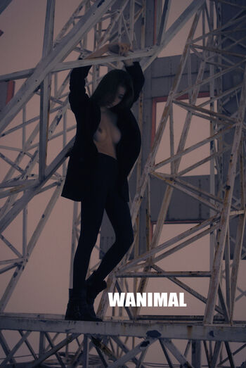Wanimal Models