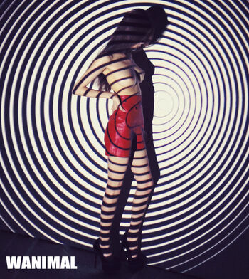 Wanimal Models