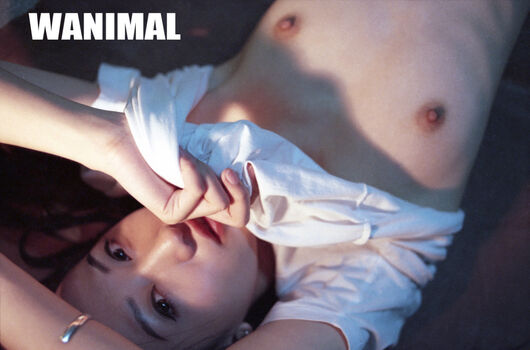 Wanimal Models