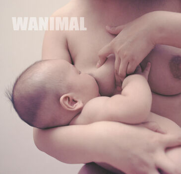 Wanimal Models