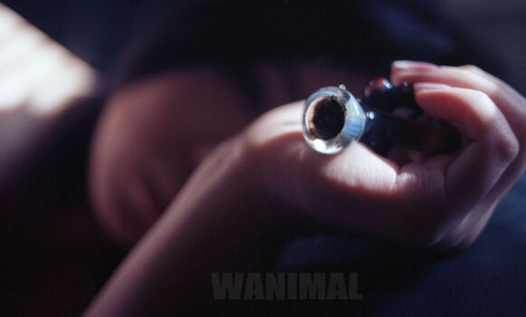 Wanimal Models