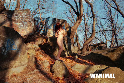 Wanimal Models