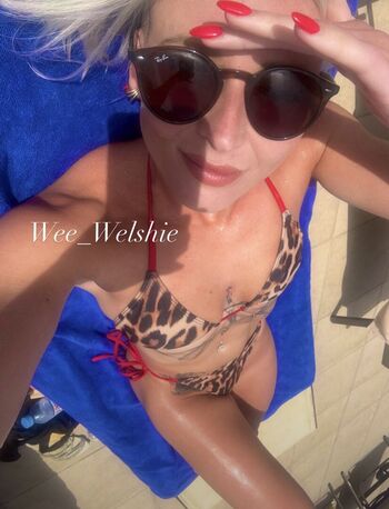 Wee Welshie