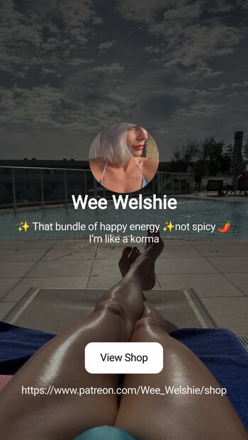 Wee_welshie