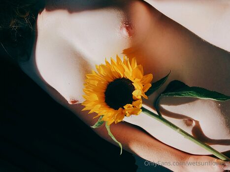 wetsunflowers