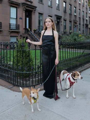Willa Fitzgerald