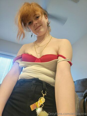 Willow.trie