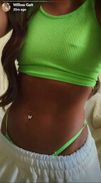 WillowGait_X