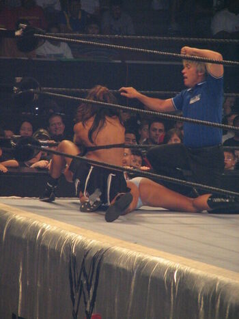 WWE Michelle McCool