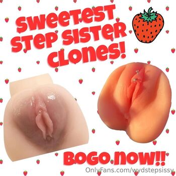 wydstepsissy