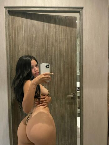 Xdydx