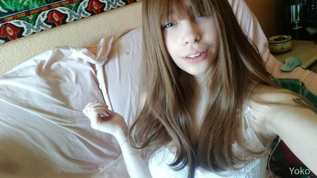 yoko_foxy