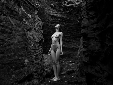 zaharenkoanastasiia